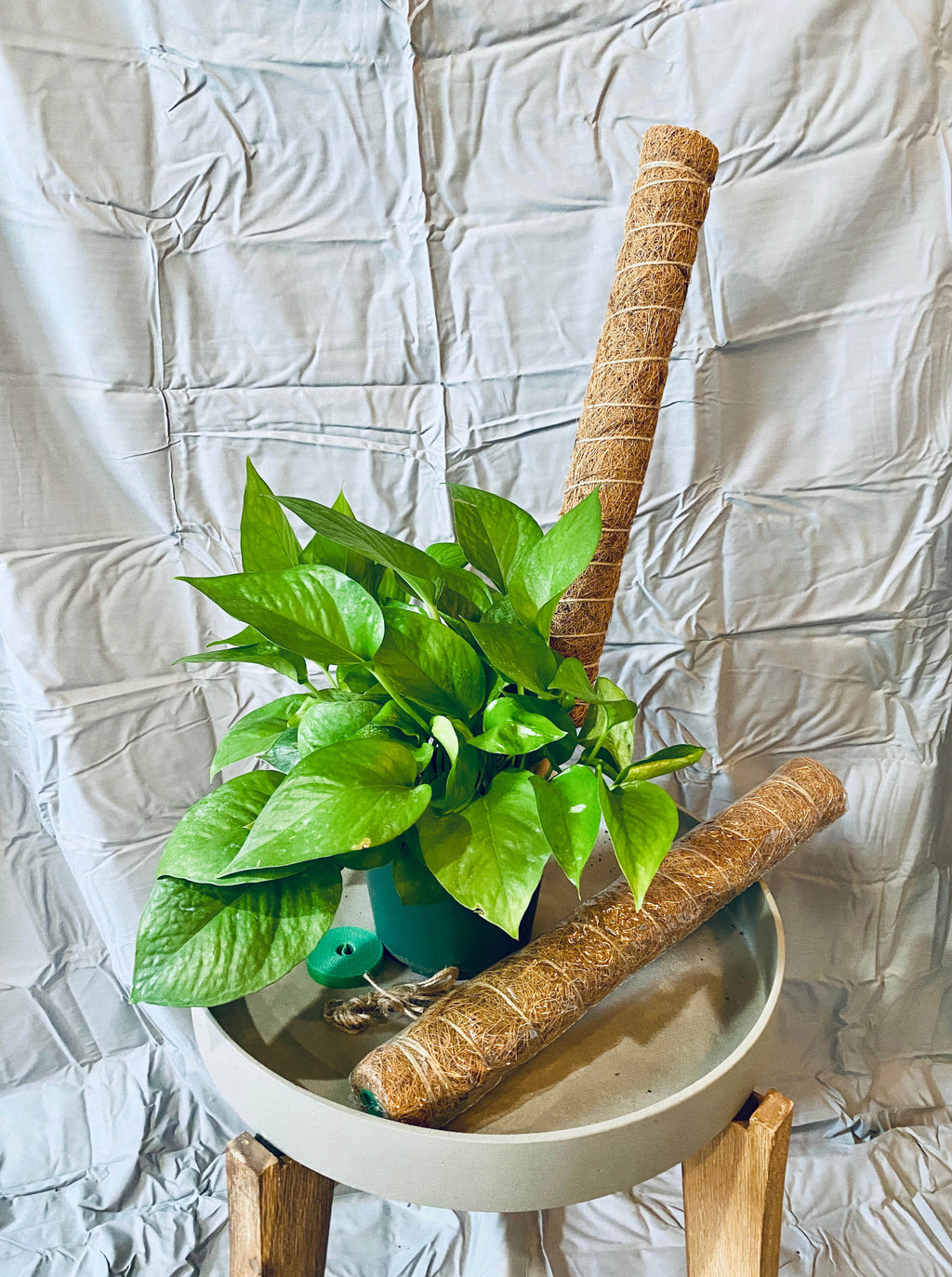 Coco Coir Poles/Plant Supports - 4pcs, 66" total