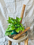 Coco Coir Poles/Plant Supports - 2 pcs, 20" Stackable