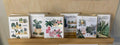 Paper Anchor Co. Cards - Full Bloom birthday card