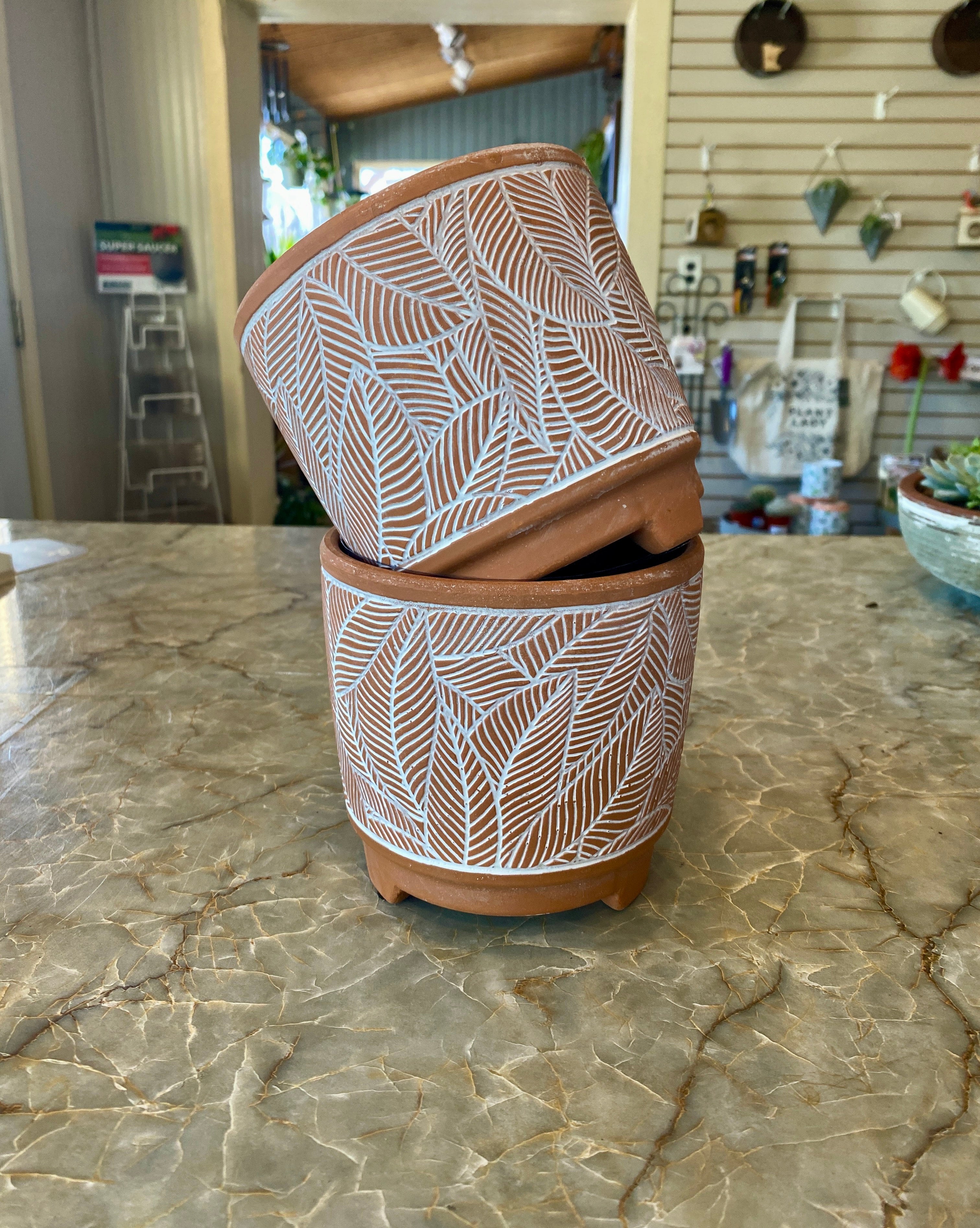 Terra Cotta Pottery With White Leaf Design