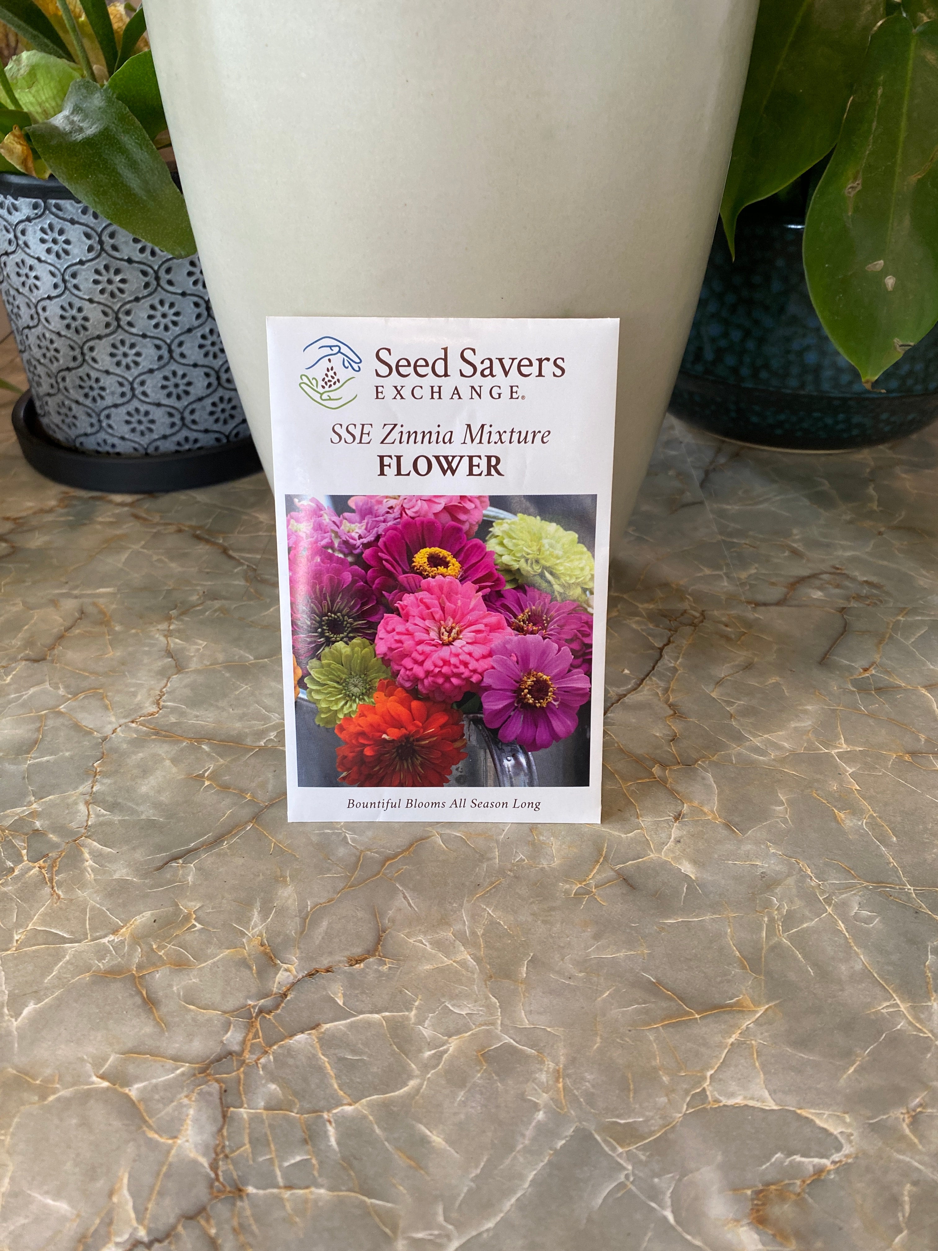 Sse Zinnia Mixture