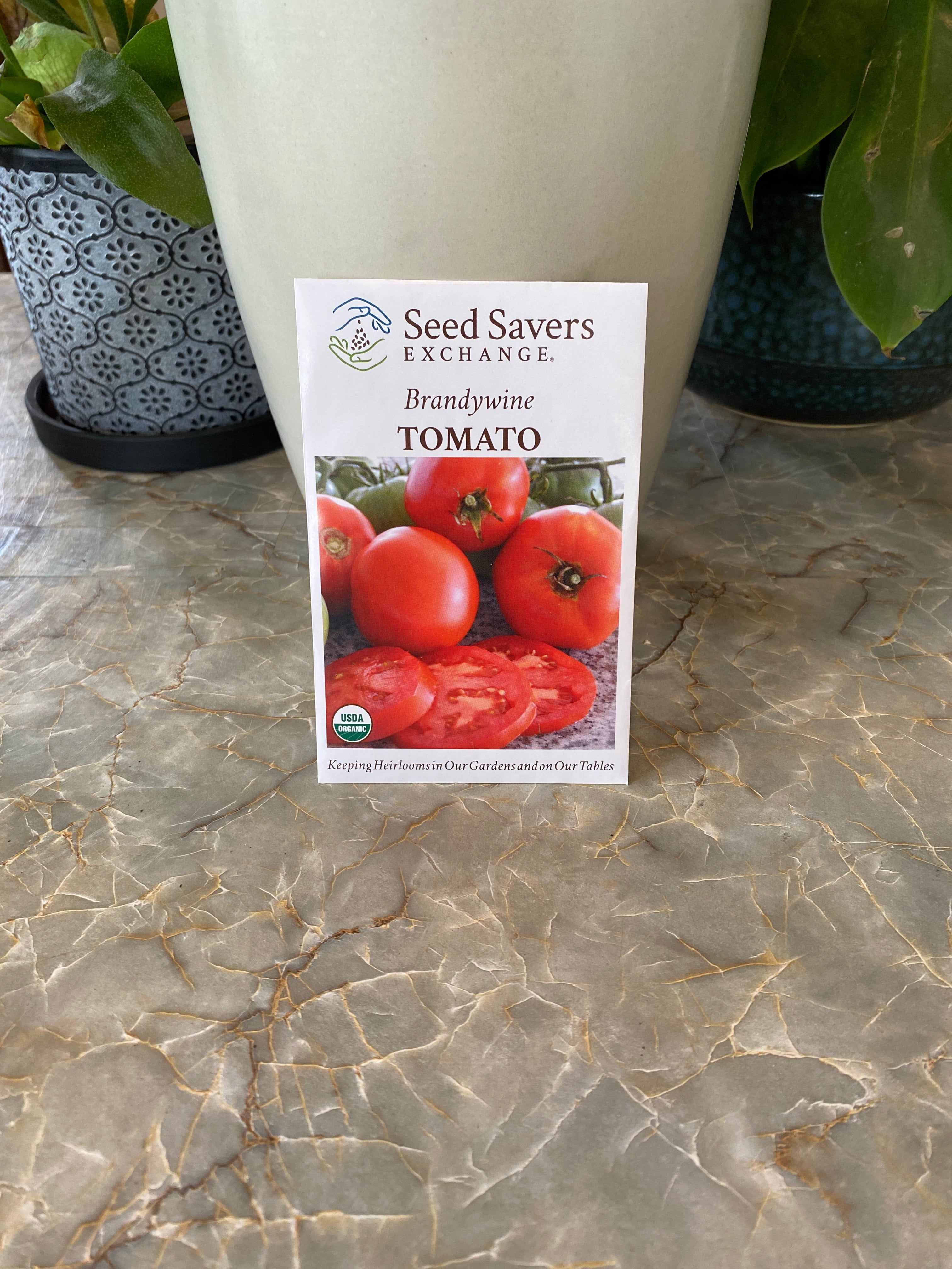 Tomato Brandywine