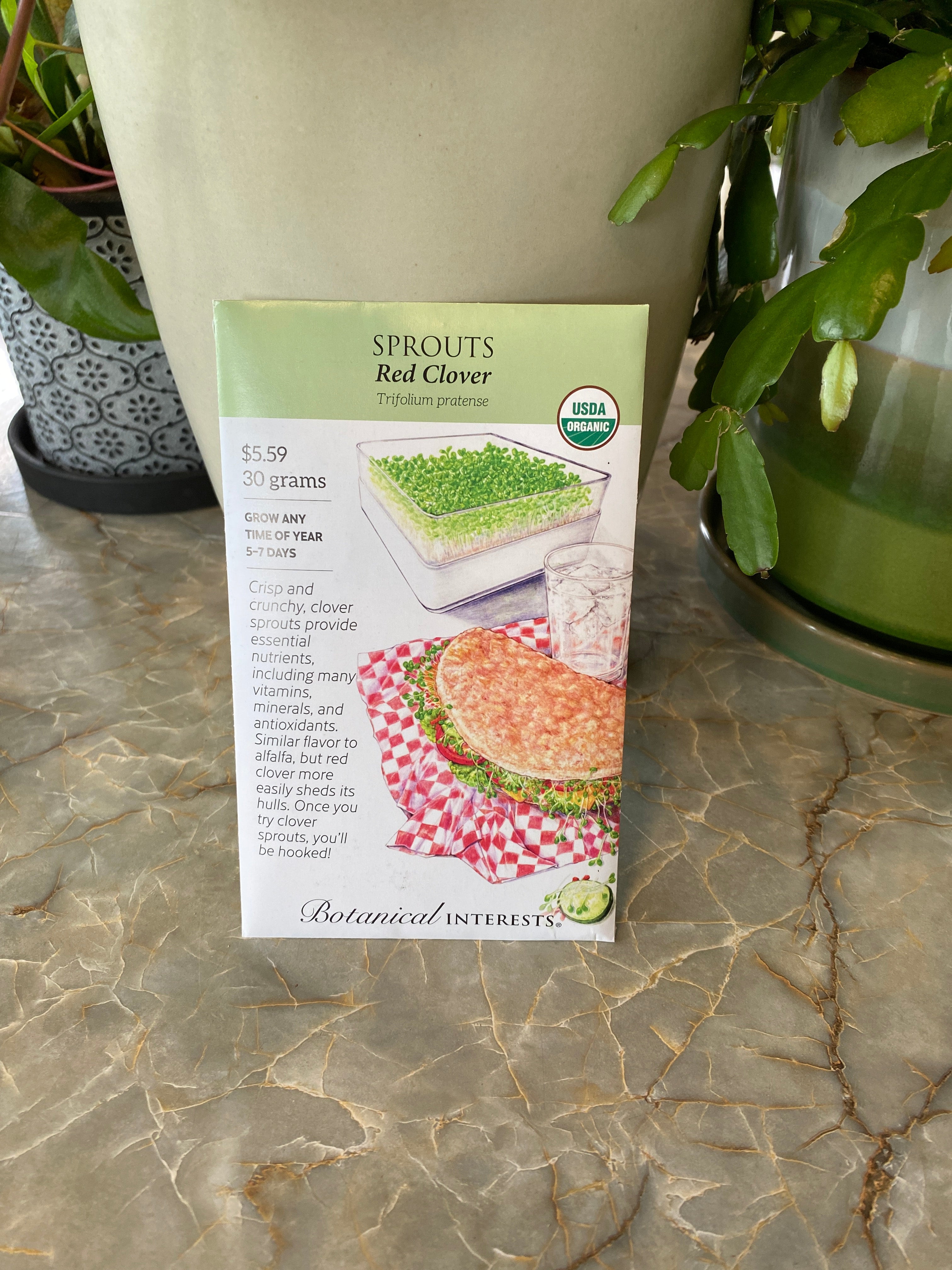 Sprouts Red Clover Organic 30 Grams