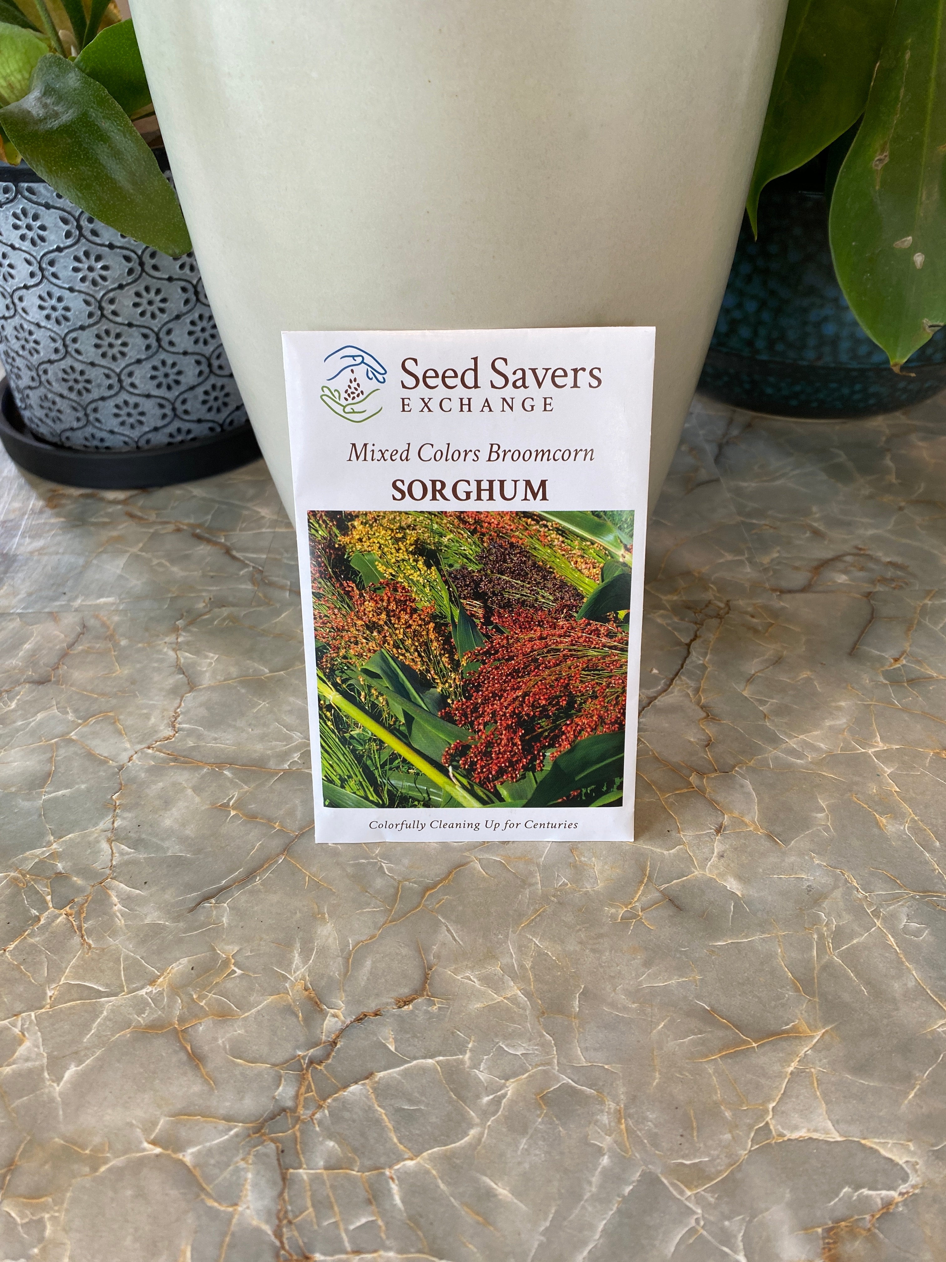 Sorghum Mixed Colors Broomcorn