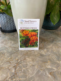 Butterflyweed Asclepias Tuberosa