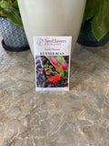 Scarlet Runner Bean
