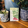 Basil Six Basil Blend Organic