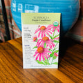Echinacea, Purple Coneflower Organic