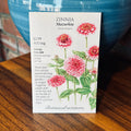 Zinnia Mazurkia