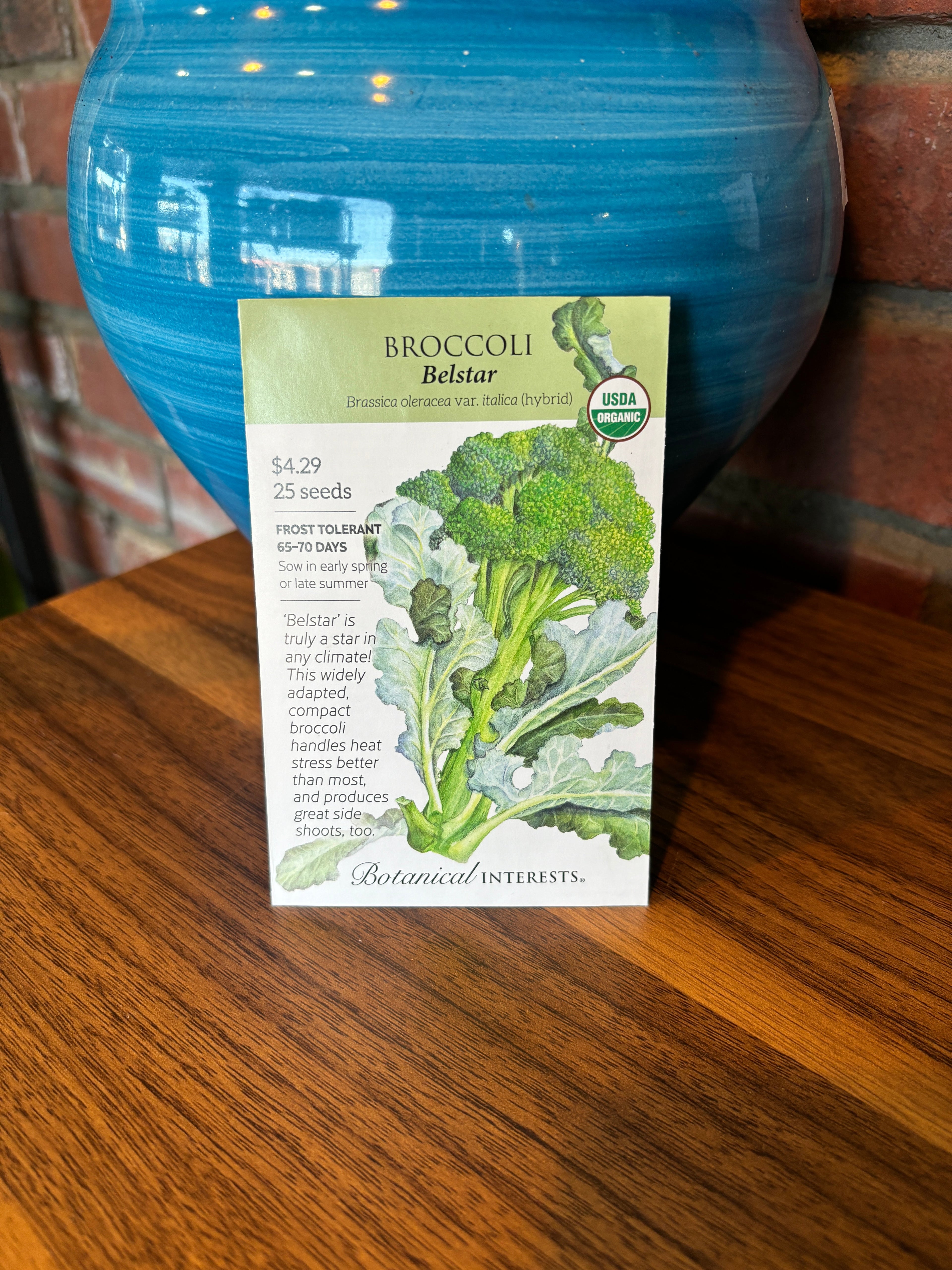 Broccoli Belstar Organic