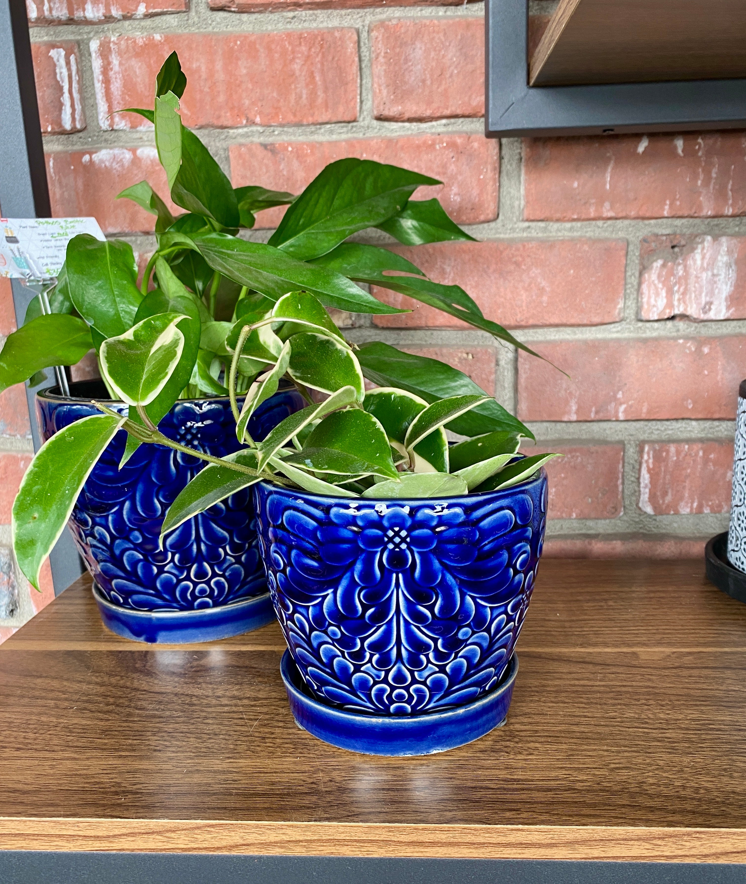 4.5" Cobalt Pot W/ Saucer