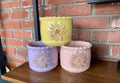 5" Ceramic Flower Pot In Mixed Colors