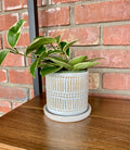 4" Ceramic White Pot With Saucer