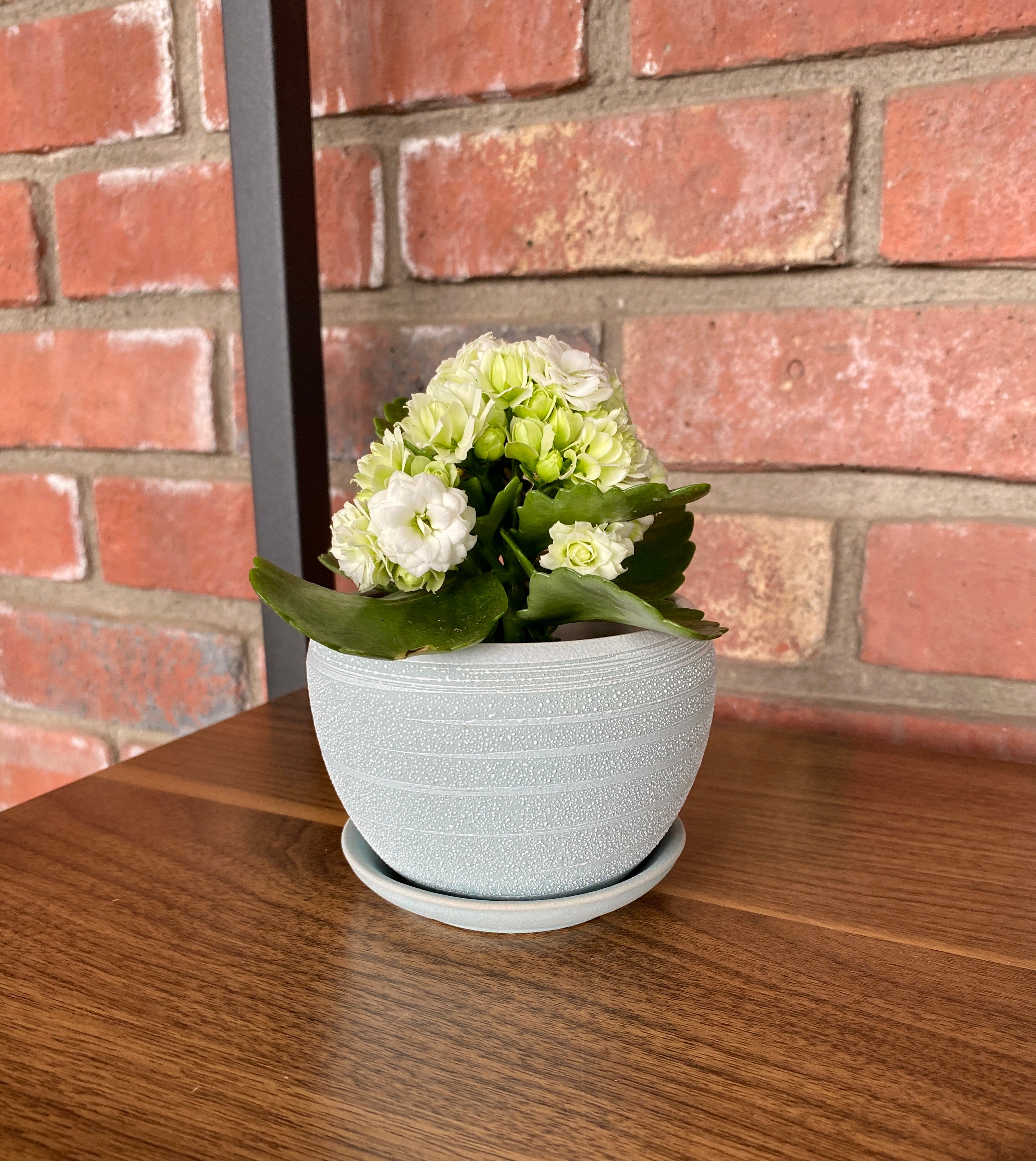 3" Ceramic Blue Textured Pot W/ Saucer
