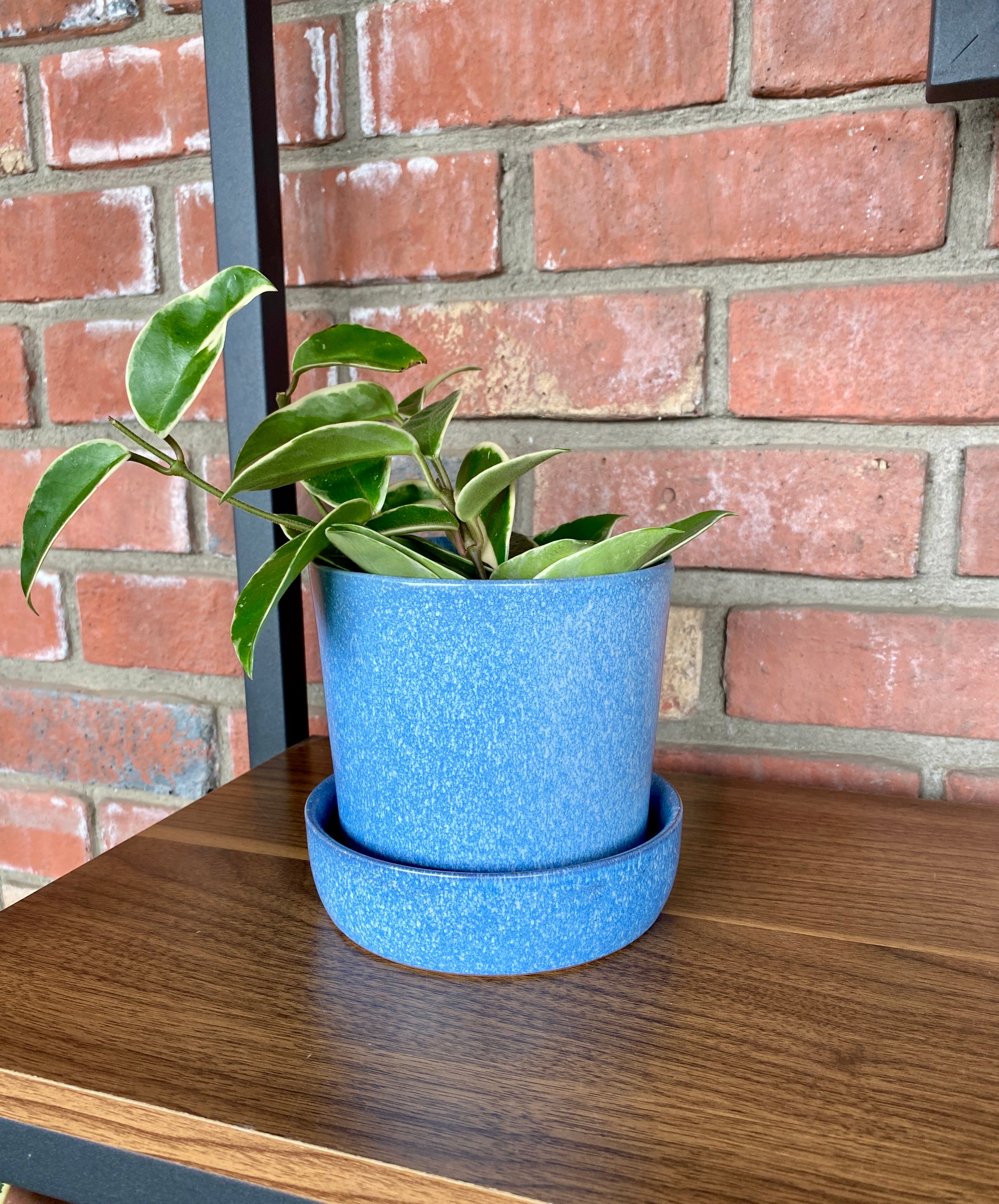 5" Speckled Blue Ceramic Pot With Saucer