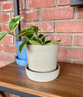 5" Speckled Cream Ceramic Pot With Saucer