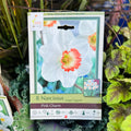 Narcissus Pink Charm