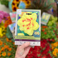 Narcissus Tahiti