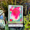 Tulip Match