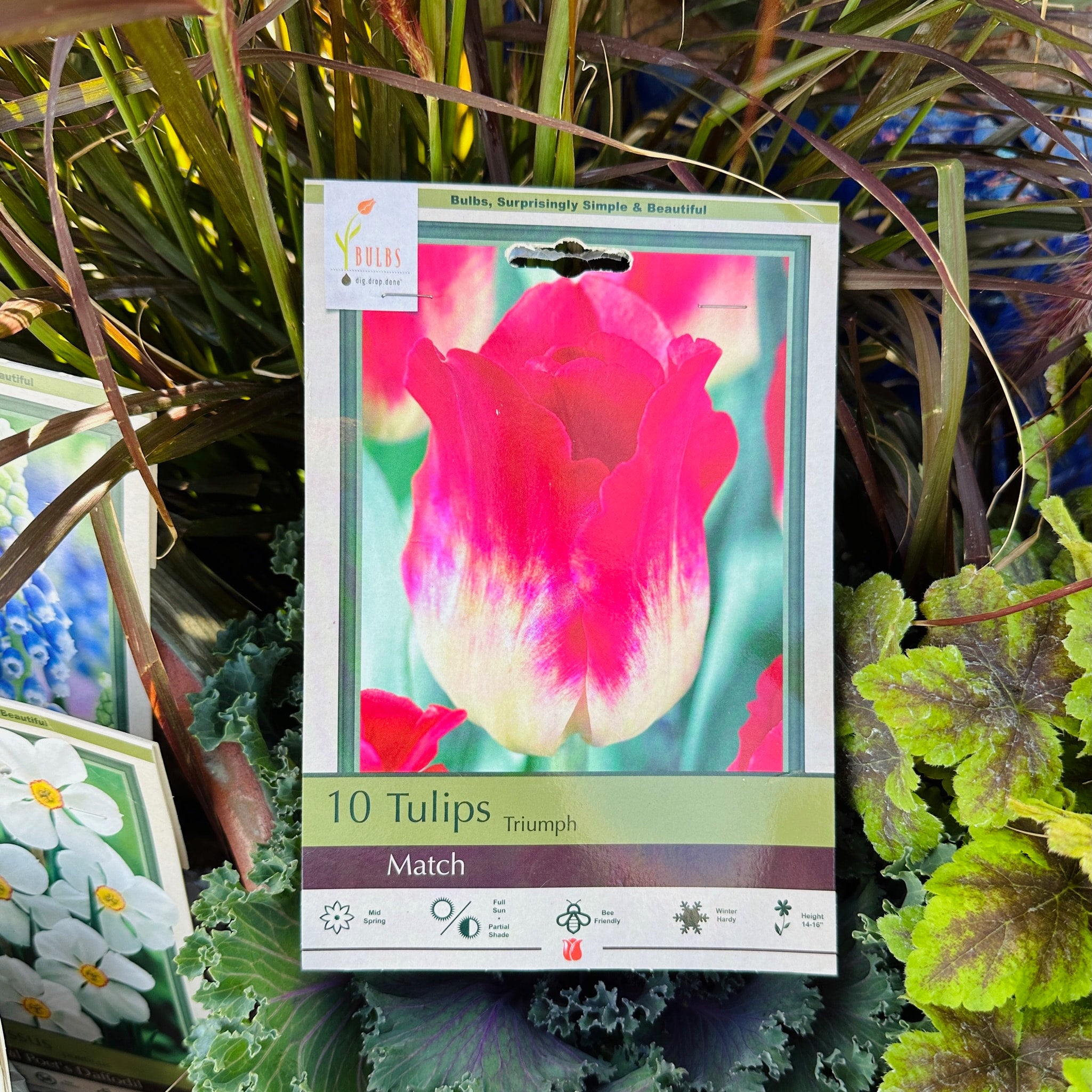 Tulip Match