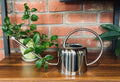 Modern Style Watering Can