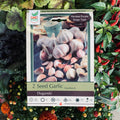 Seed Garlic Duganski