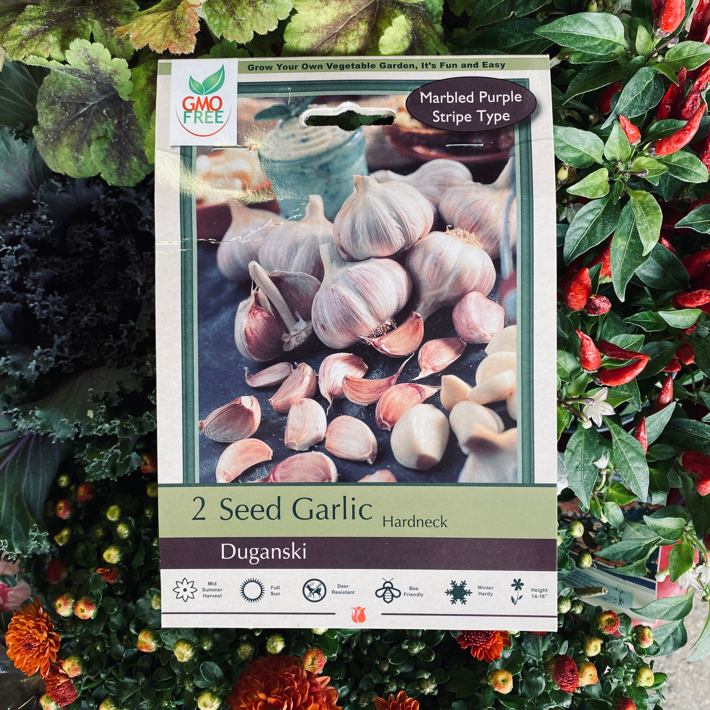 Seed Garlic Duganski