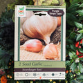 Seed Garlic Krandasger Red