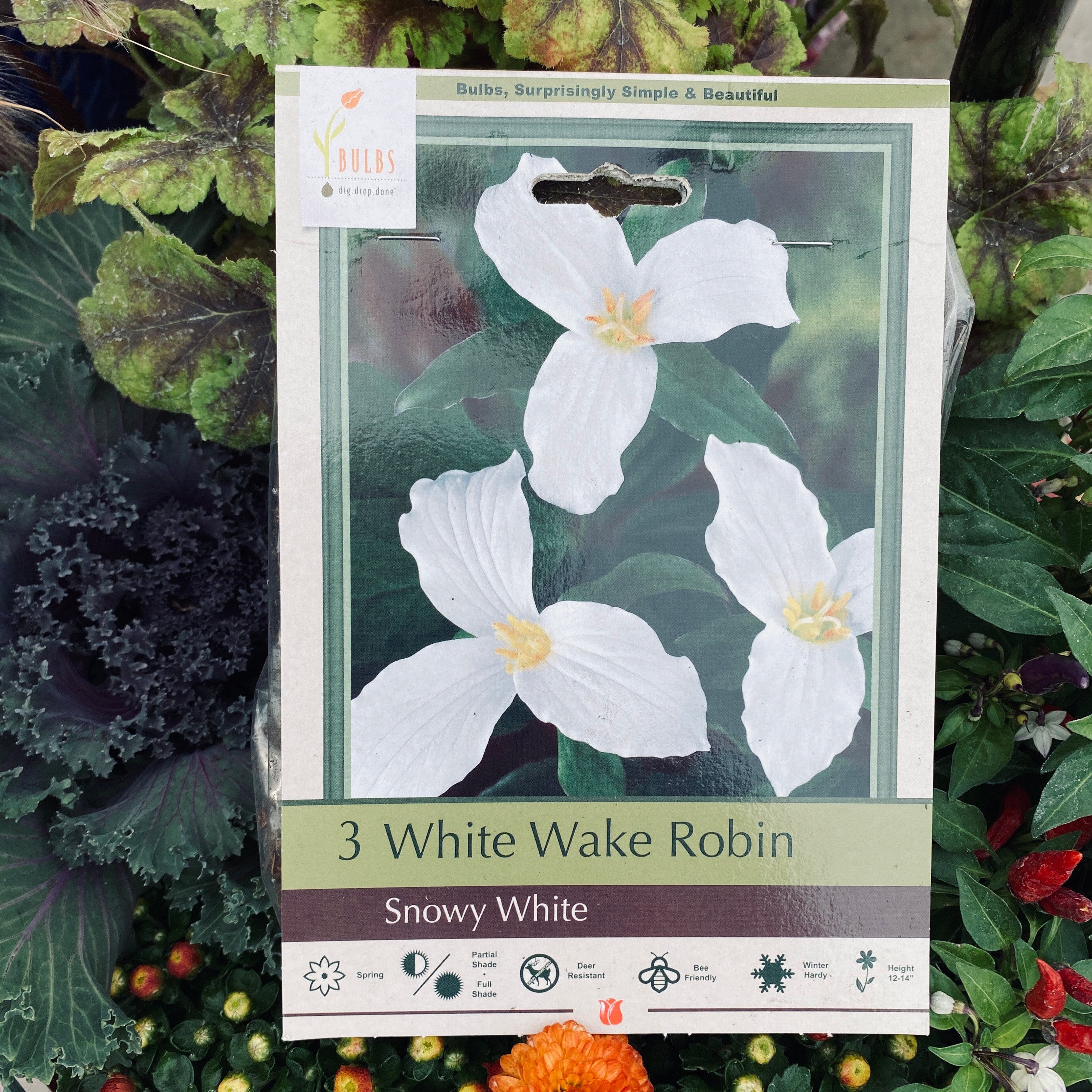 Trillium/White Wake Robin