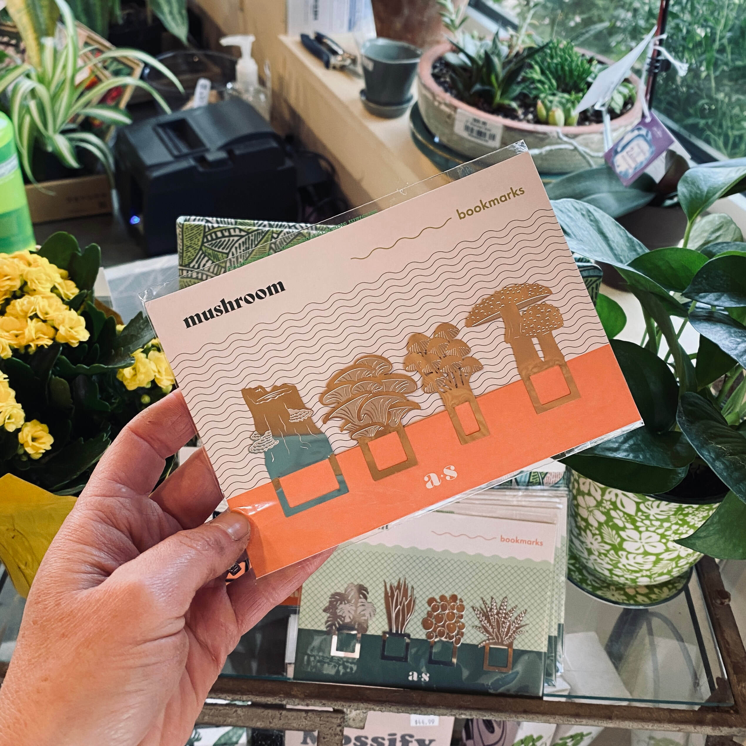 Bookmarks - Houseplant Bookmarks