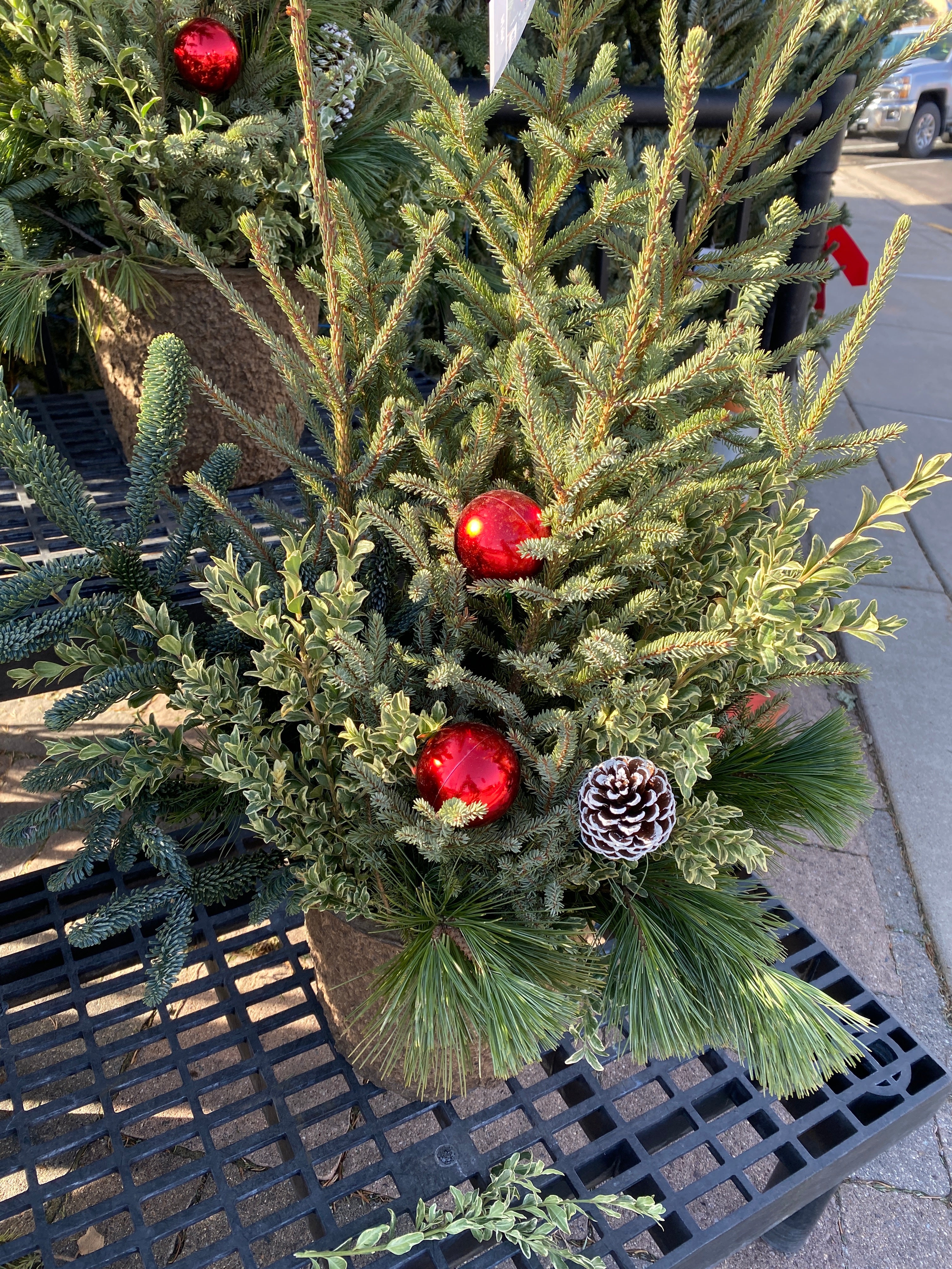 Traditional Winter Patio Pot