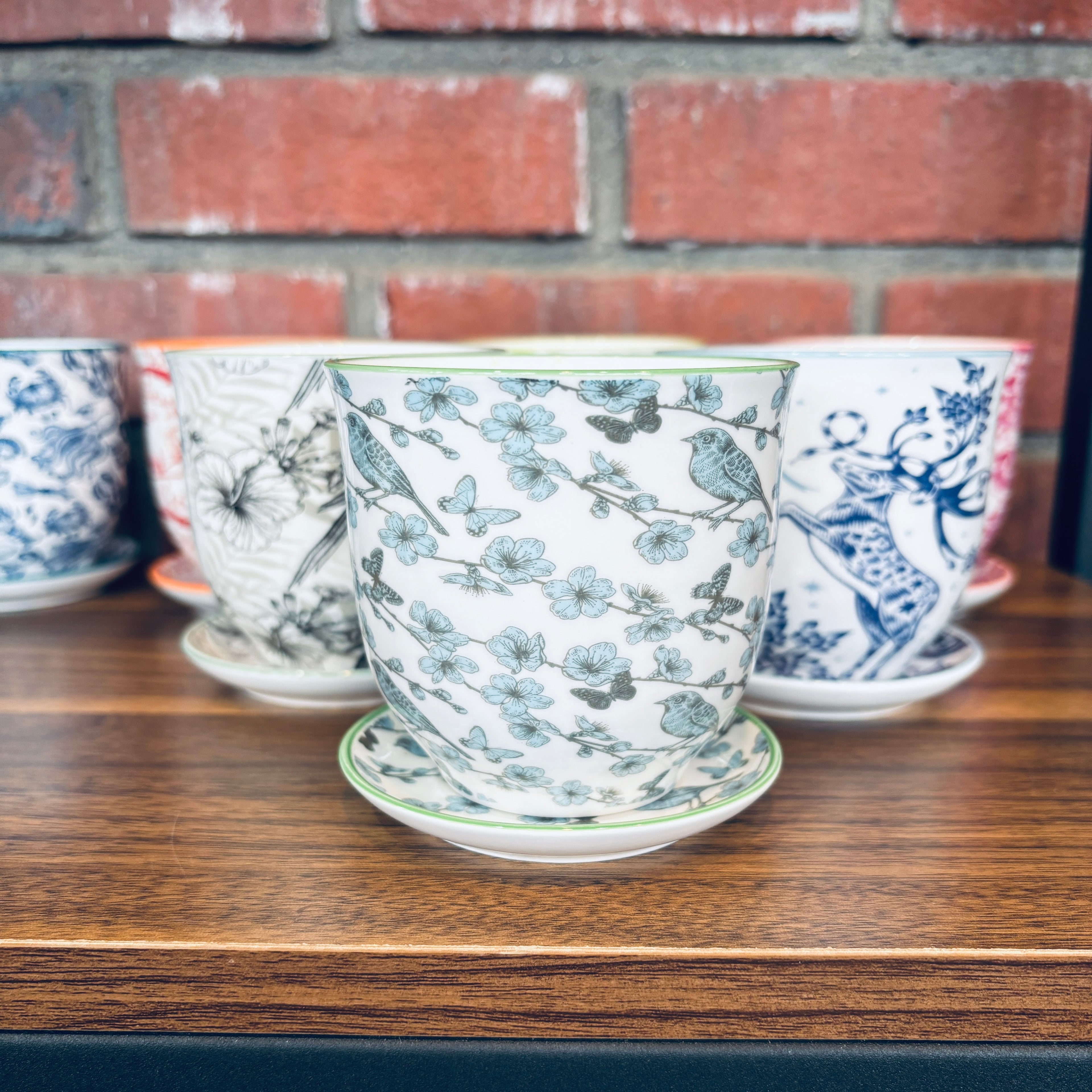 Chive Liberte Blue Flowers 3.25" Pot & Saucer