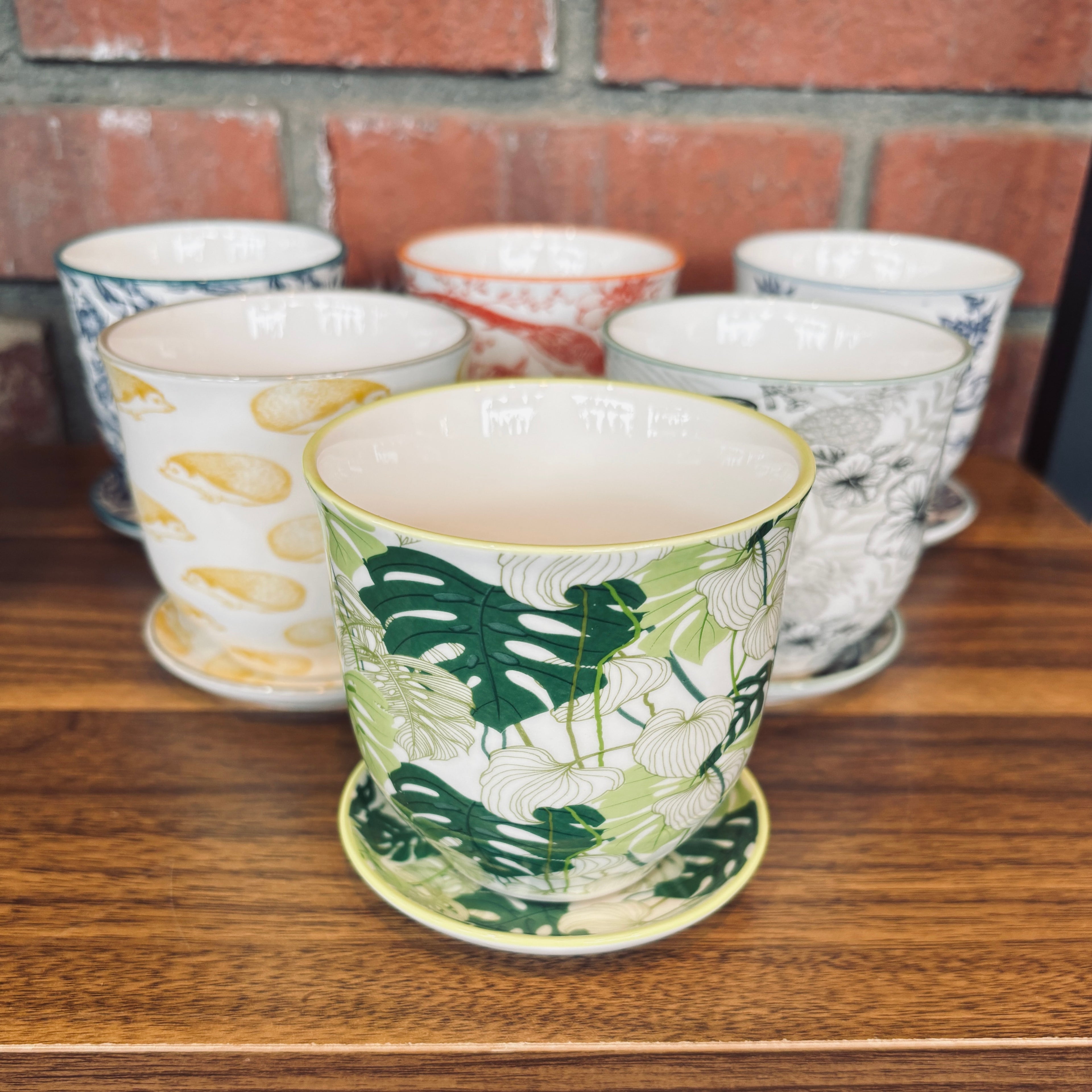 Chive Liberte Monstera 3.25" Pot & Saucer
