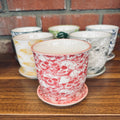 3.25" Liberte Skull Pot & Saucer