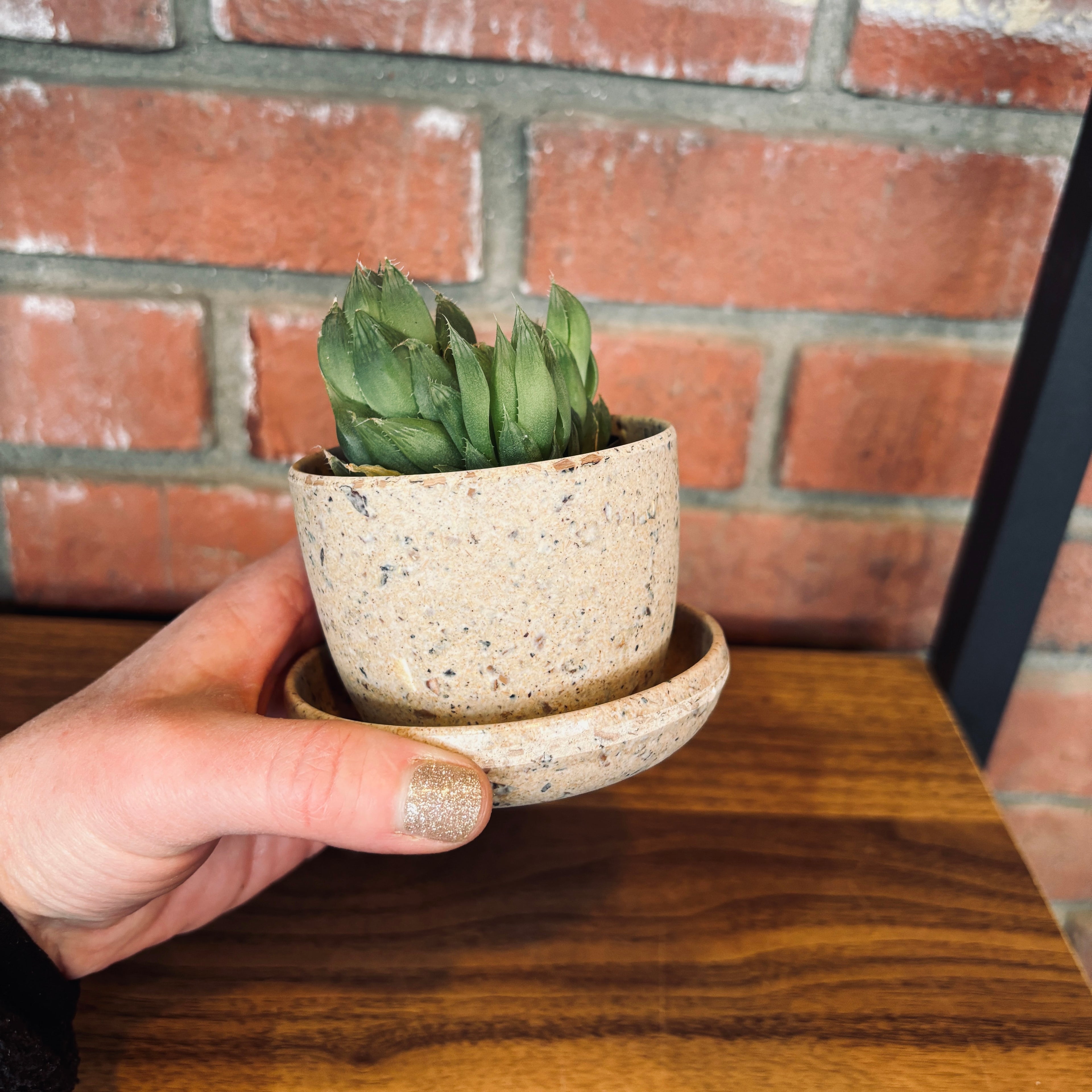 Coffee Bean Husk Mini Planter Pot & Saucer