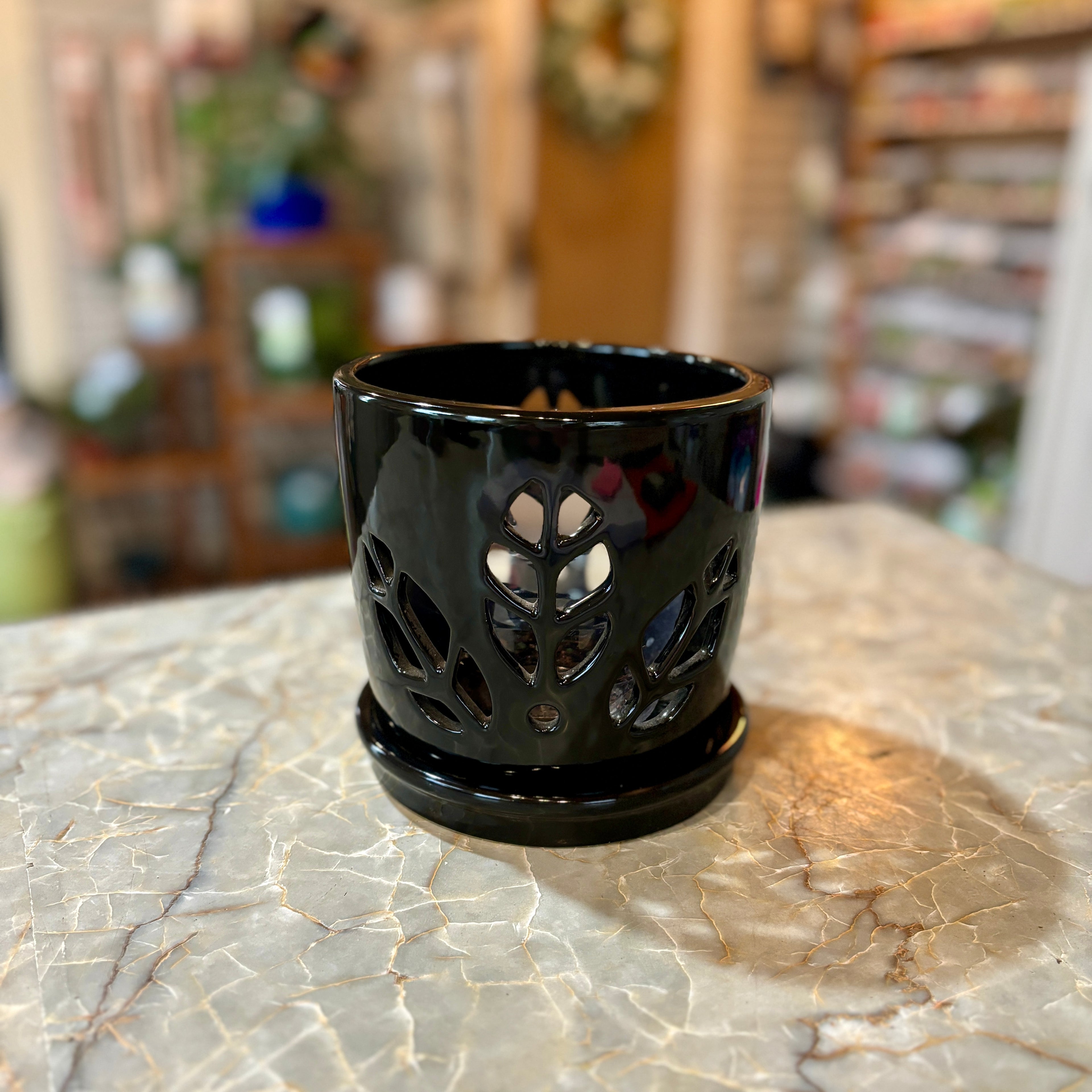 Orchid Pot Black 6"