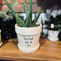 Ceramic "You Had Me At Aloe" Pot 4.5"