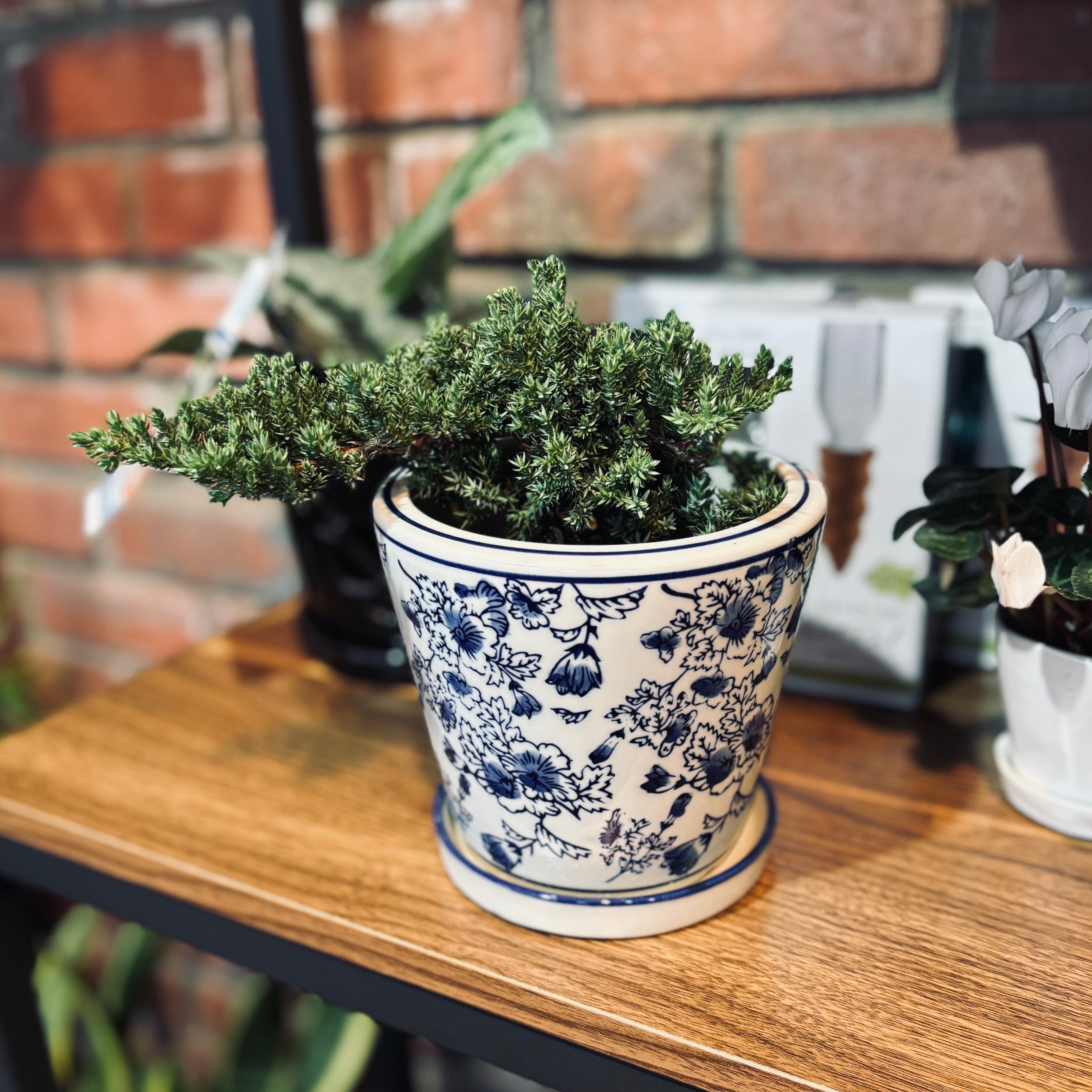 4" Ceramic Delft Blue/White Pot