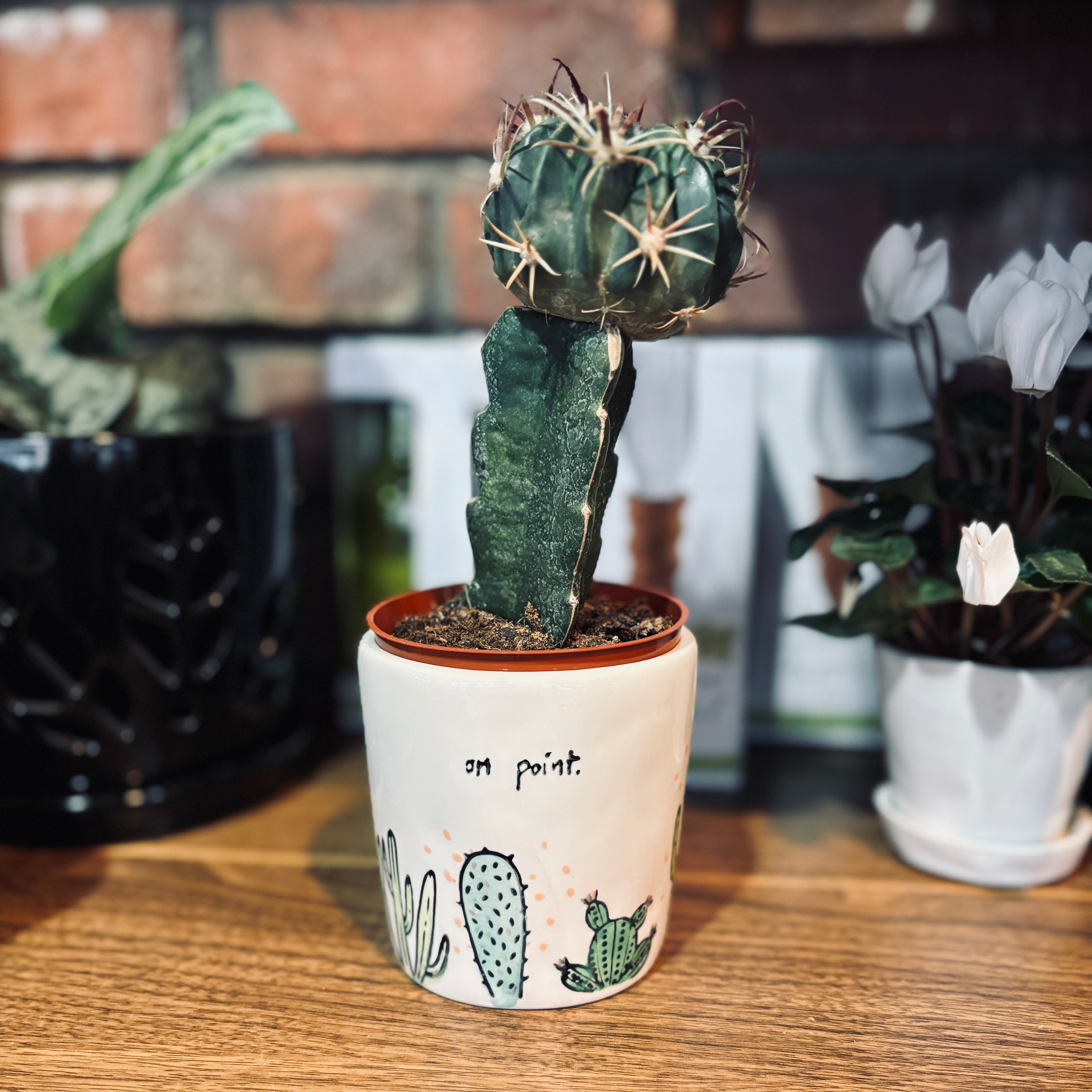 3.5" Cactus "On Point" Ceramic Pot