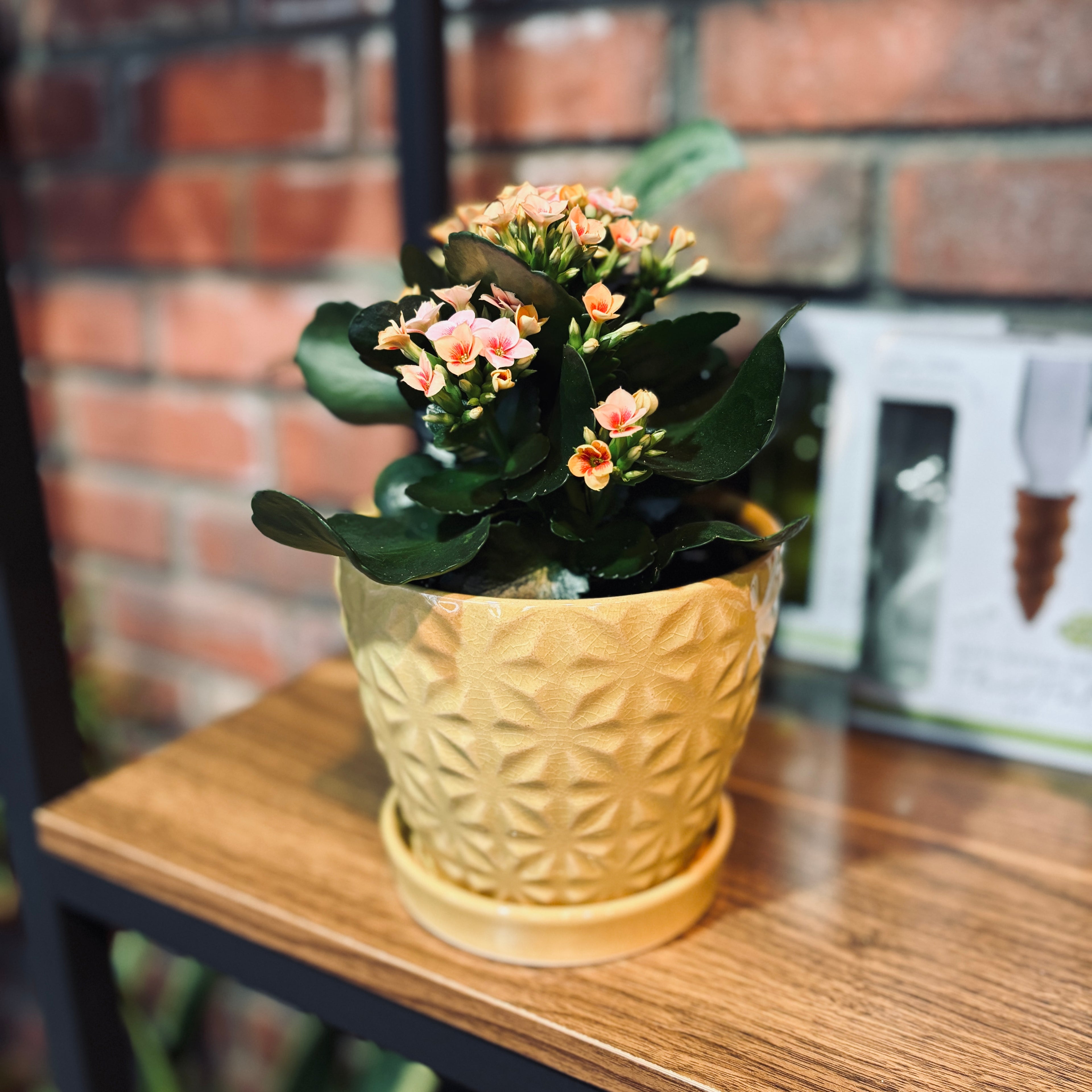 4.5" Yellow Flower Tile Ceramic Pot