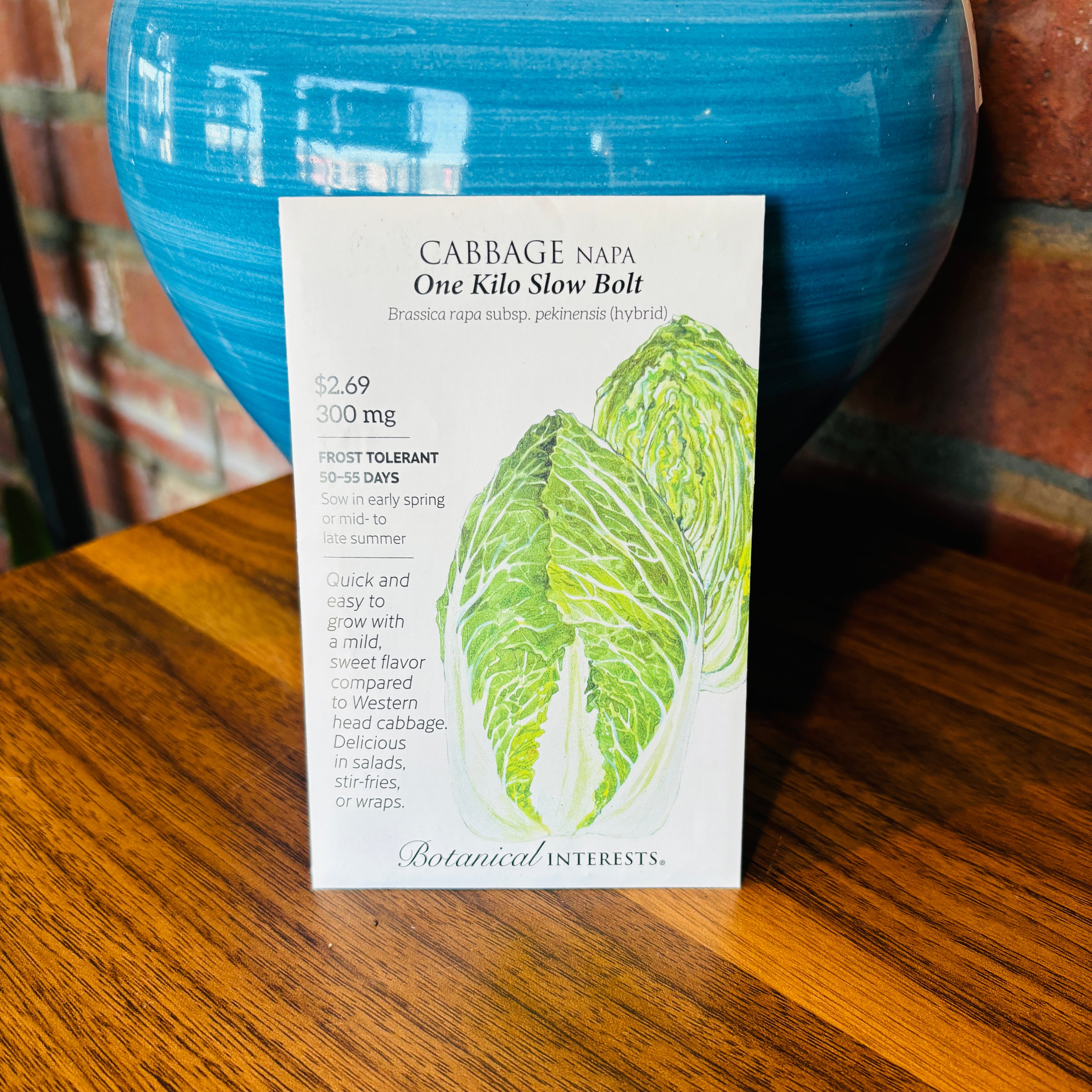 Cabbage Napa One Kilo Slow Bolt