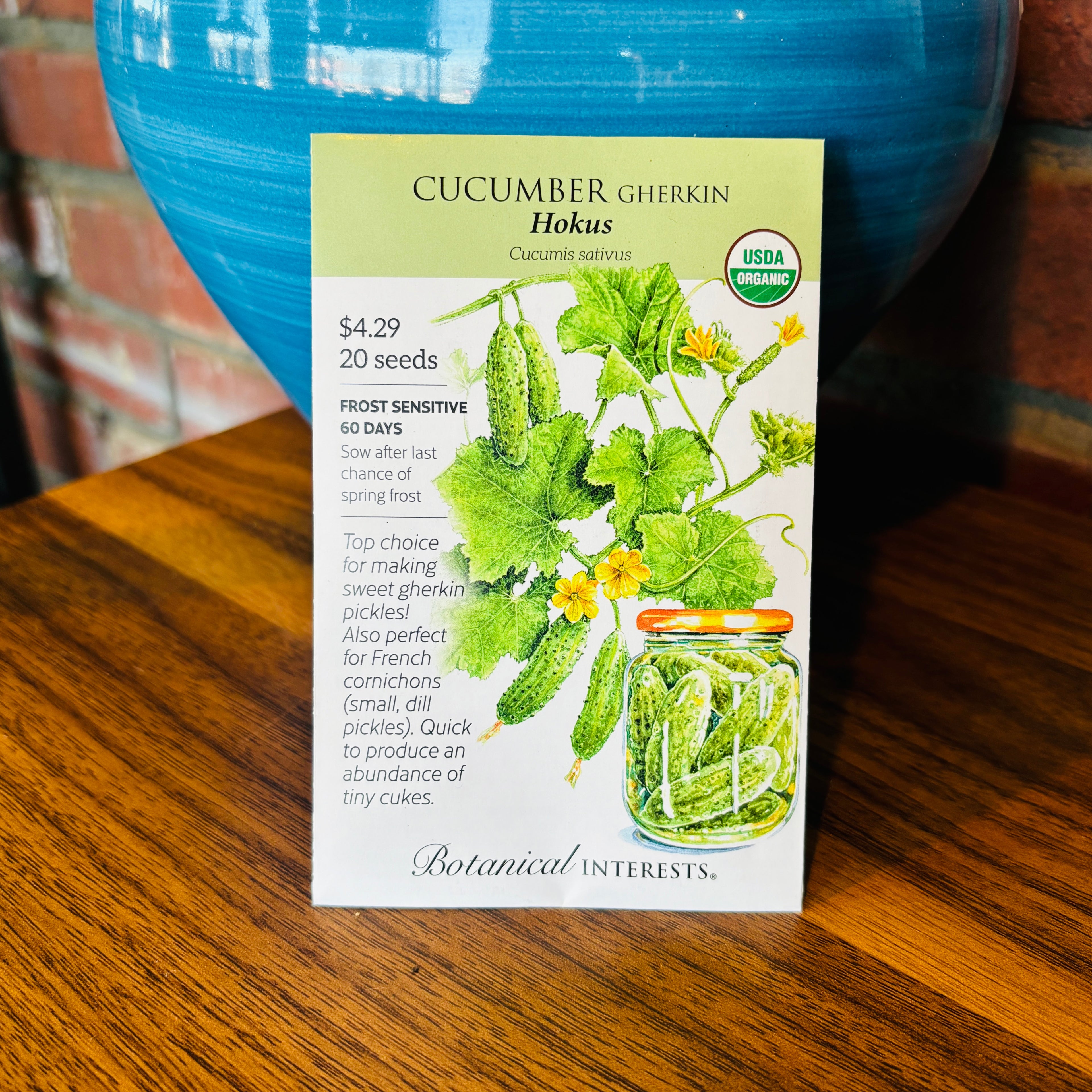 Cucumber Gherkin Hokus Organic