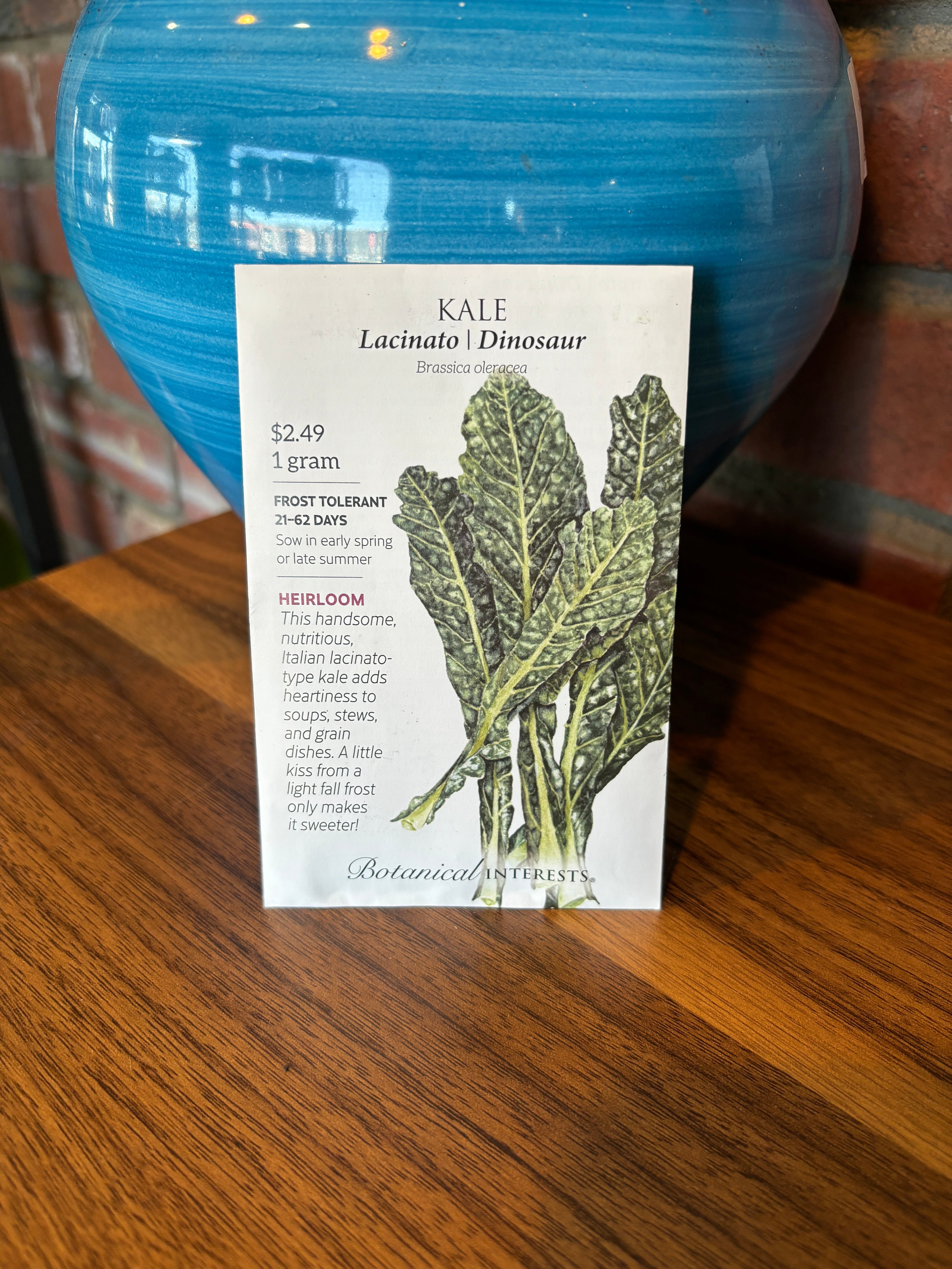 Kale Italian Lacinato Dinosaur