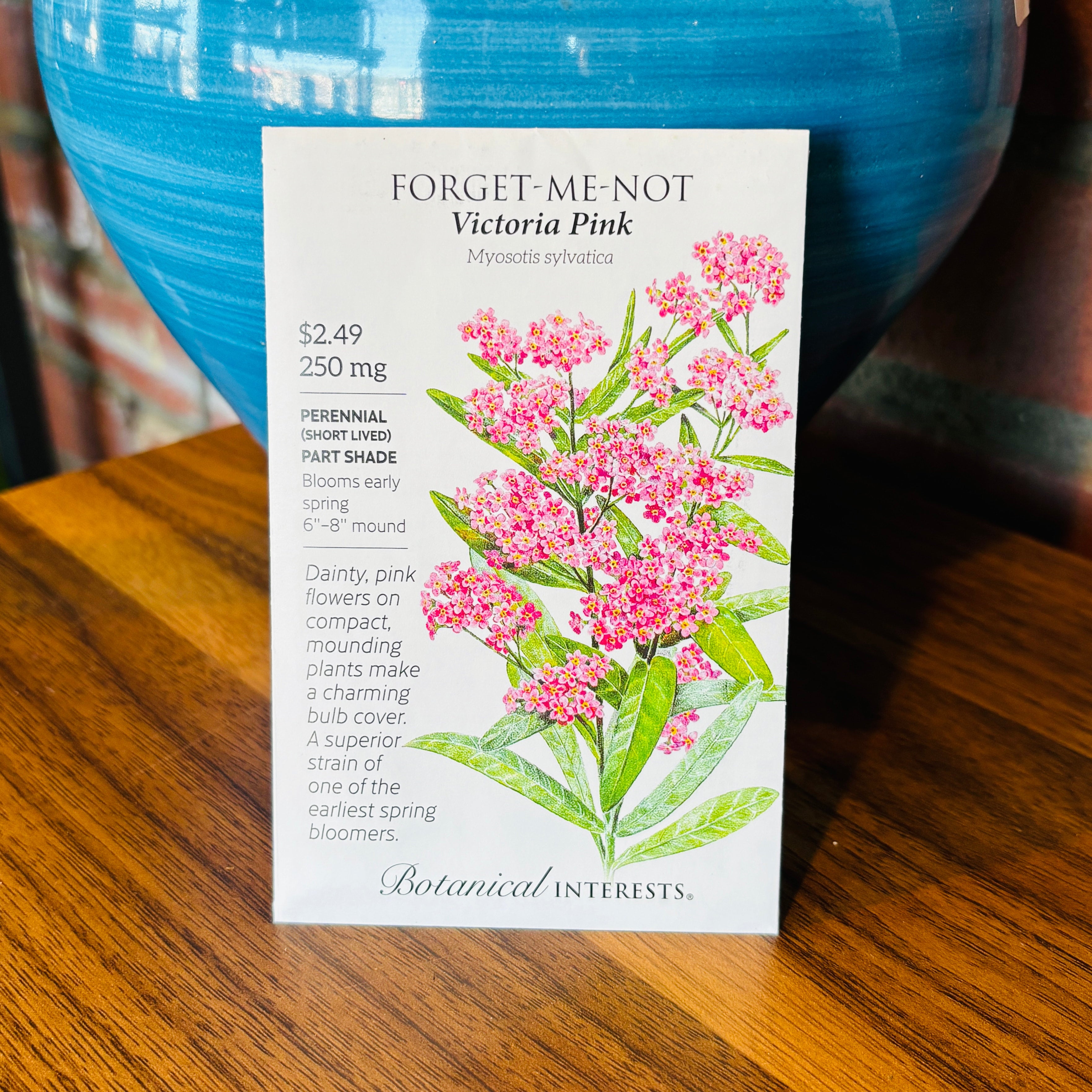 Forget-Me-Not, Victoria Pink | Myosotis Sylvatica