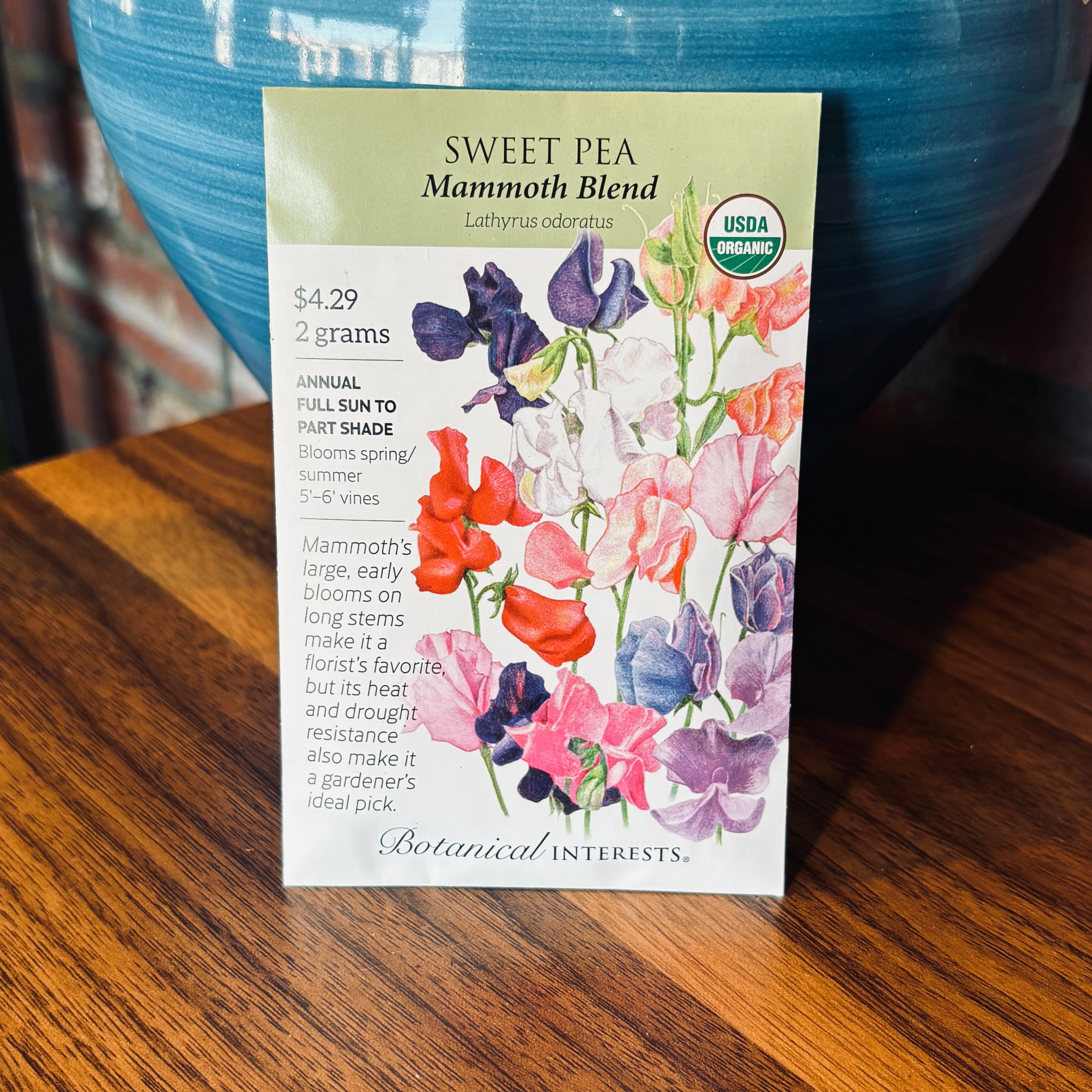 Sweet Pea Mammoth Blend Organic | Lathyrus