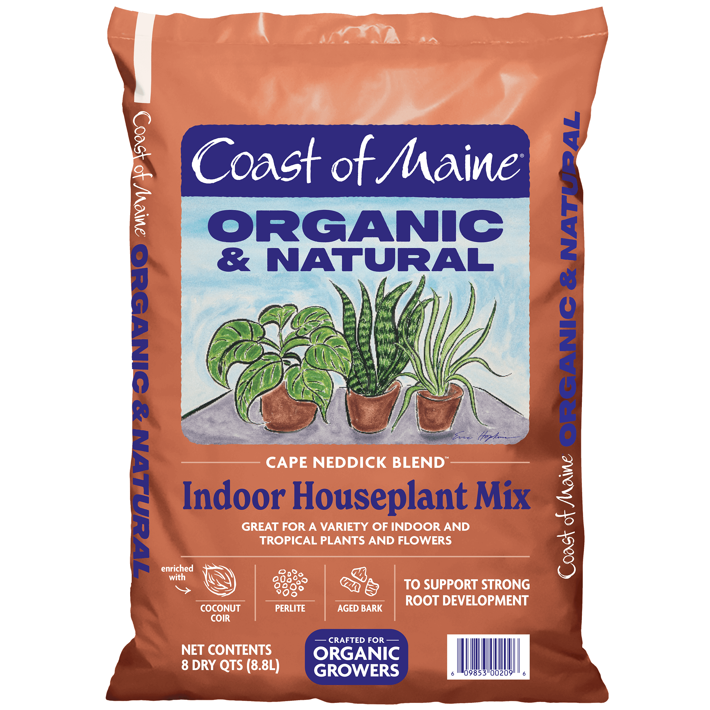 Coast Of Maine Cape Neddick Houseplant Mix 8 Qt