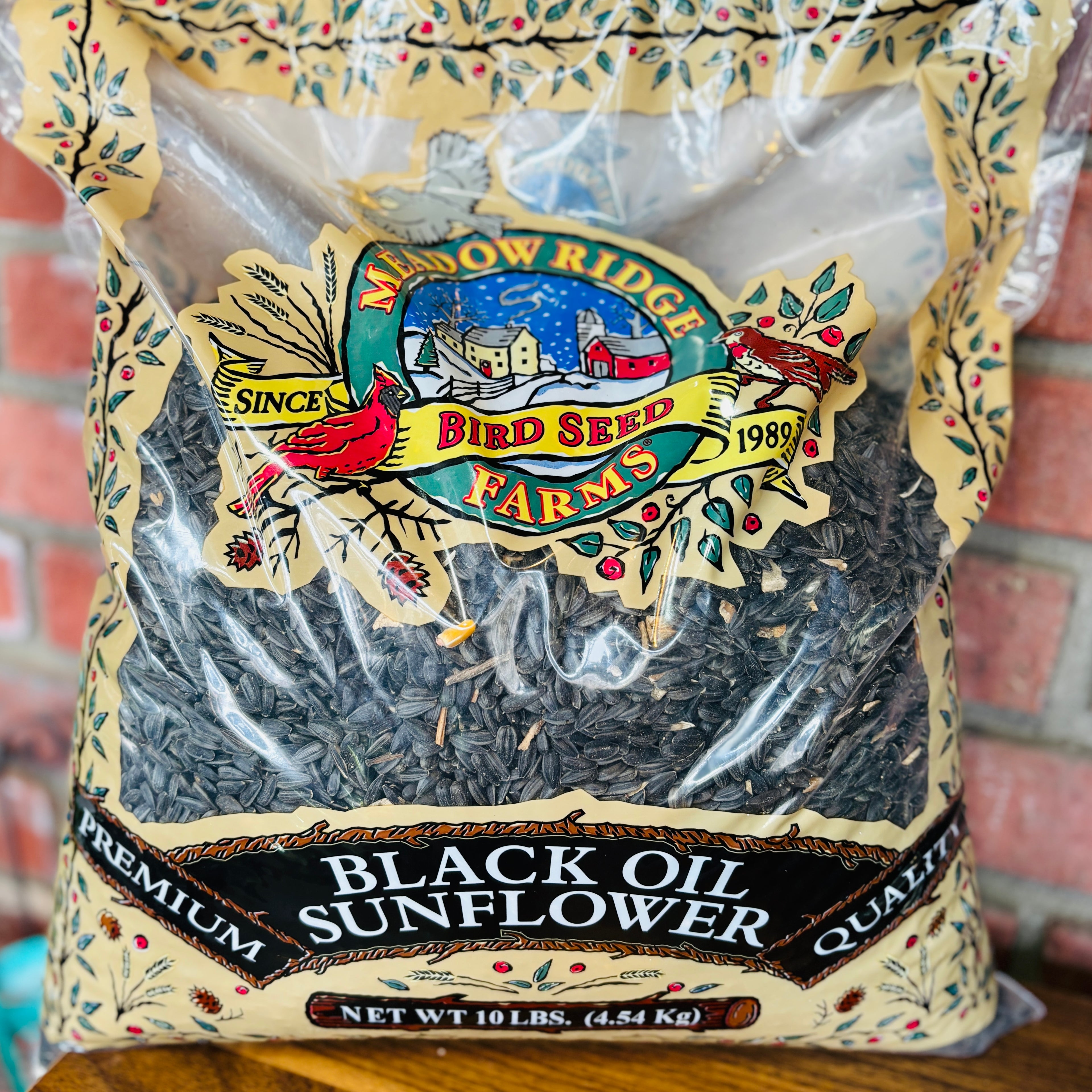 Black Oil Sunflower Bird Seed 10# Bag
