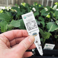 6 Pack Herb/Veggie Organic