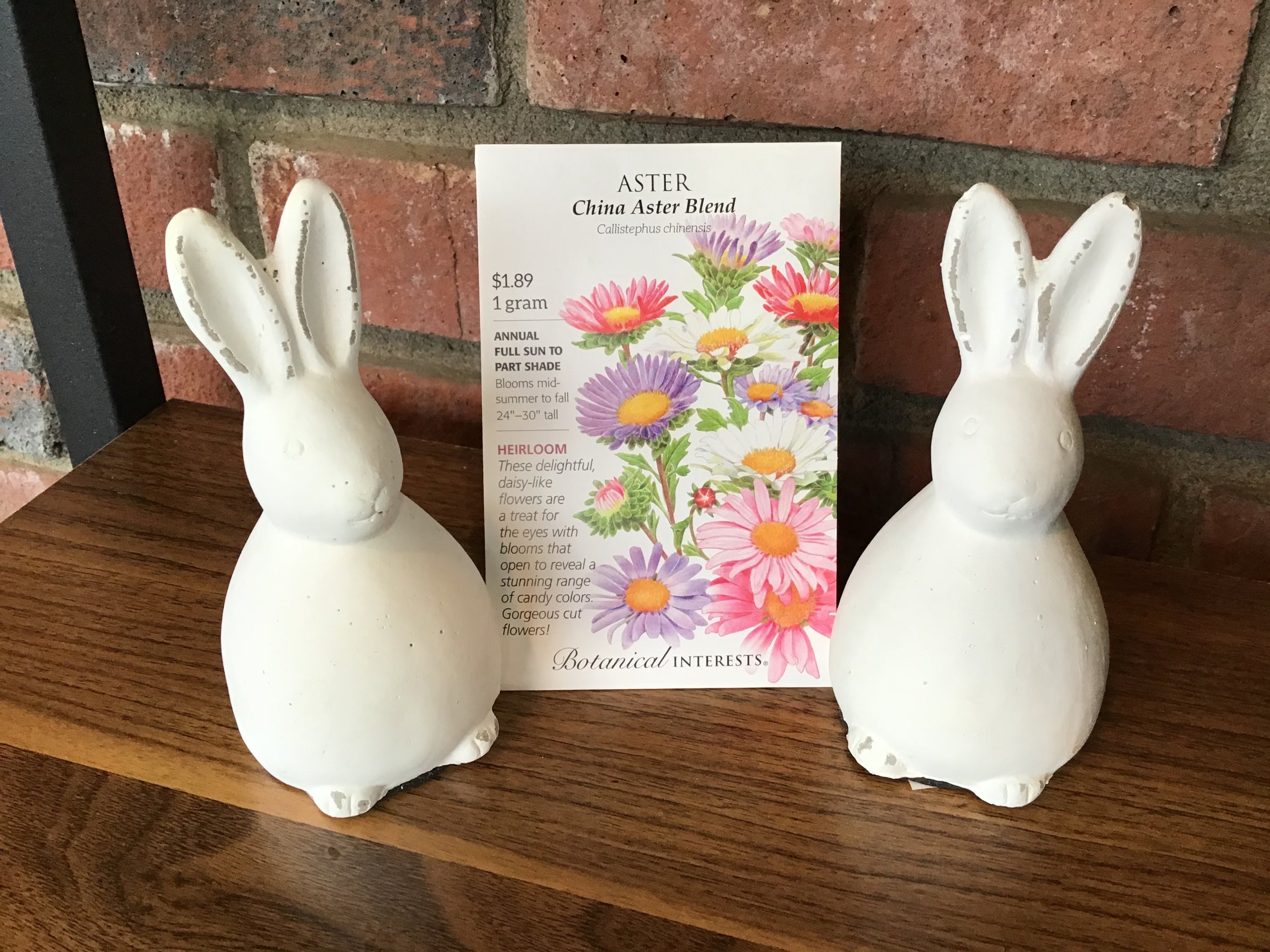 Aster China Blend