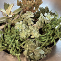 Create-Your-Own Succulent Bowl